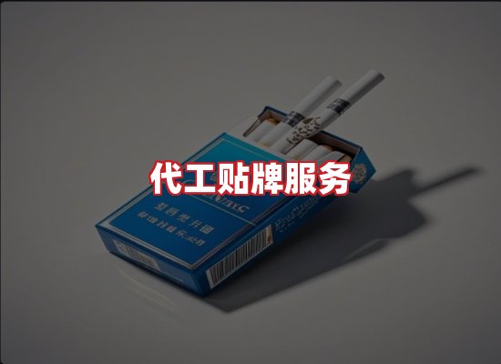 专业团队